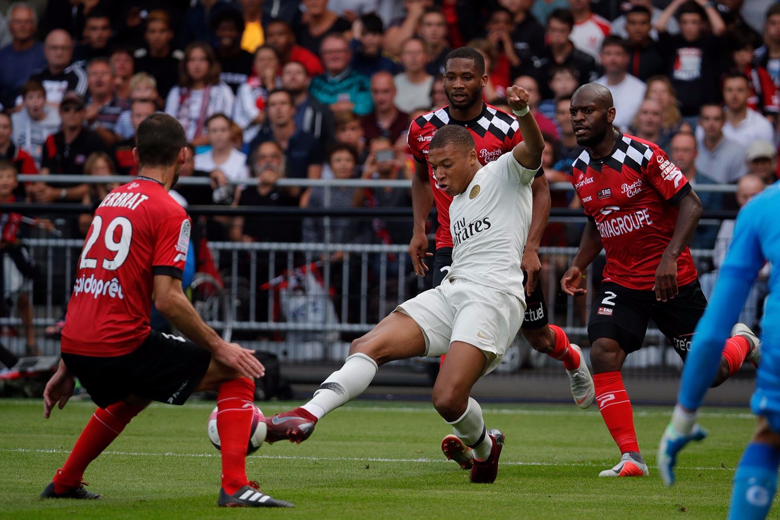 果酒/葡萄酒设备